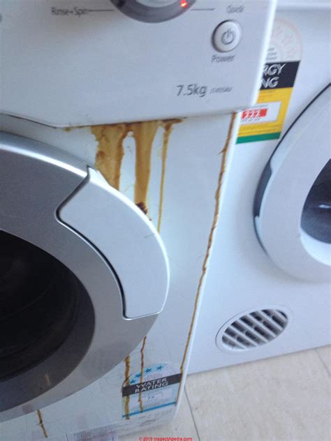 Washing Machine Oil Leak Diagnosis & Repair